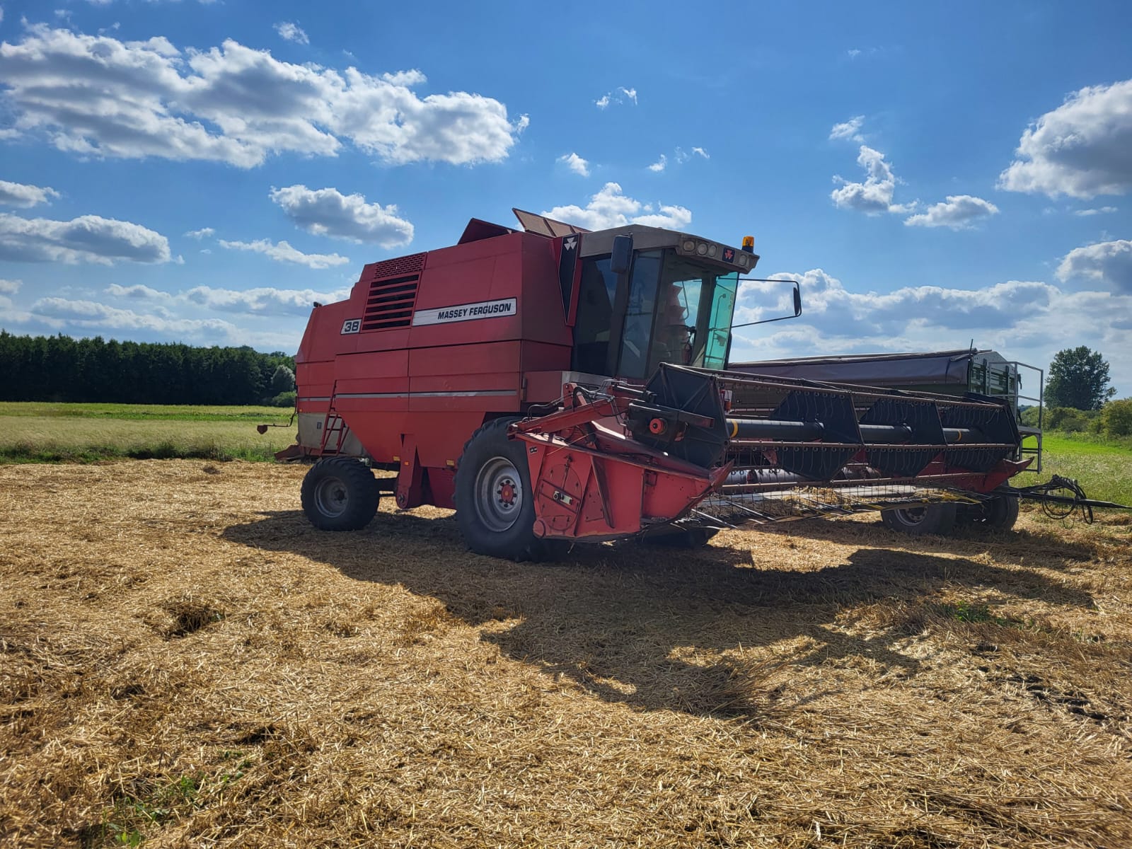 Kombajn zbożowy Massey Ferguson 38