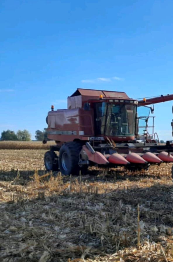 Kombajn zbożowy Case 2188 z przystawką do kukurydzy Geringhoff 6 rzędową