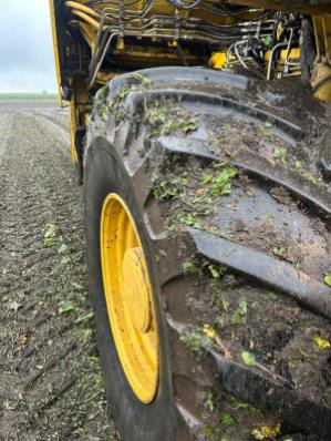 Kombajn buraczany ROPA