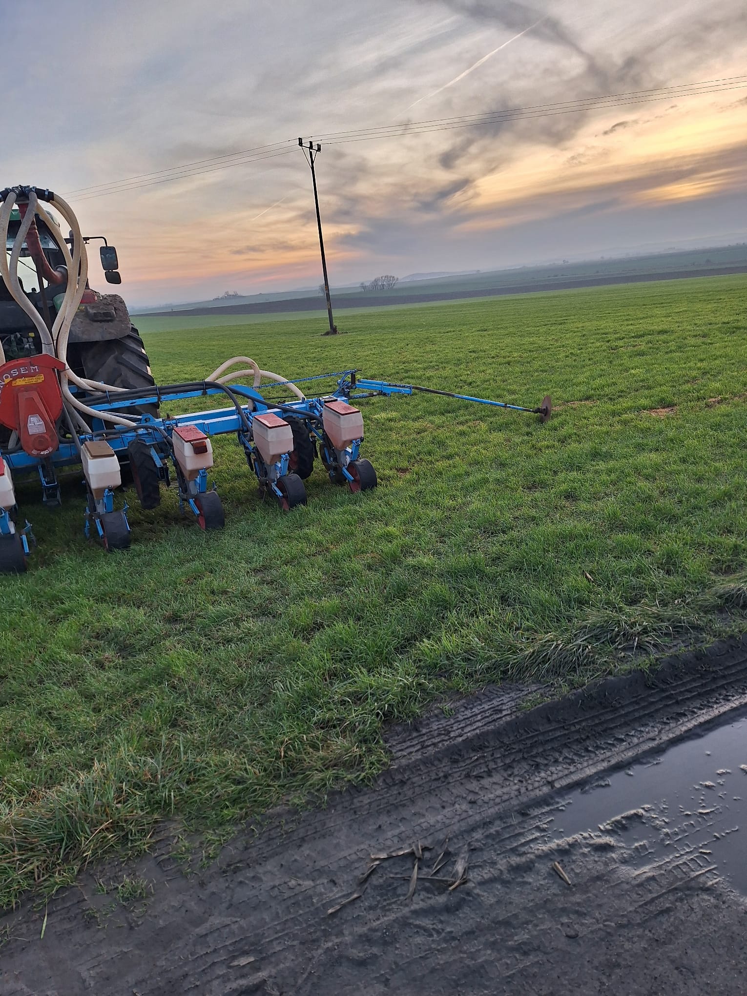 Siewnik do kukurydzy Monosem 8 rzędów. Talerzowy