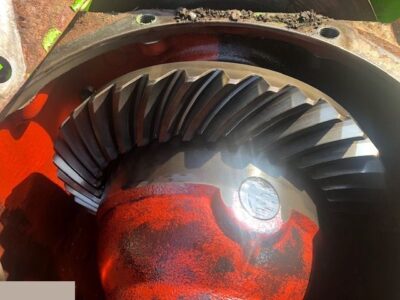 Merlo - Wkład Mostu