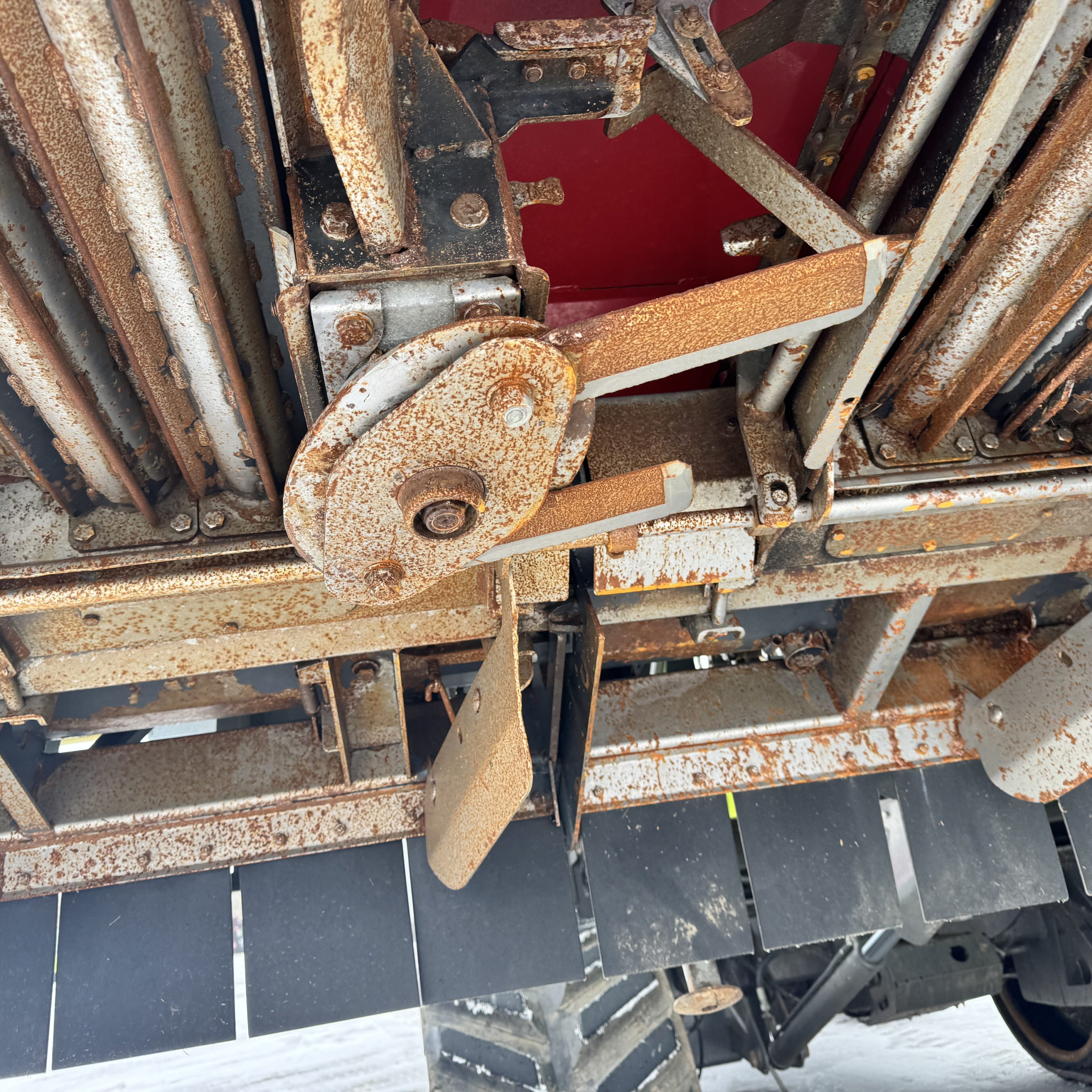 Dominoni Przystawki do kukurydzy