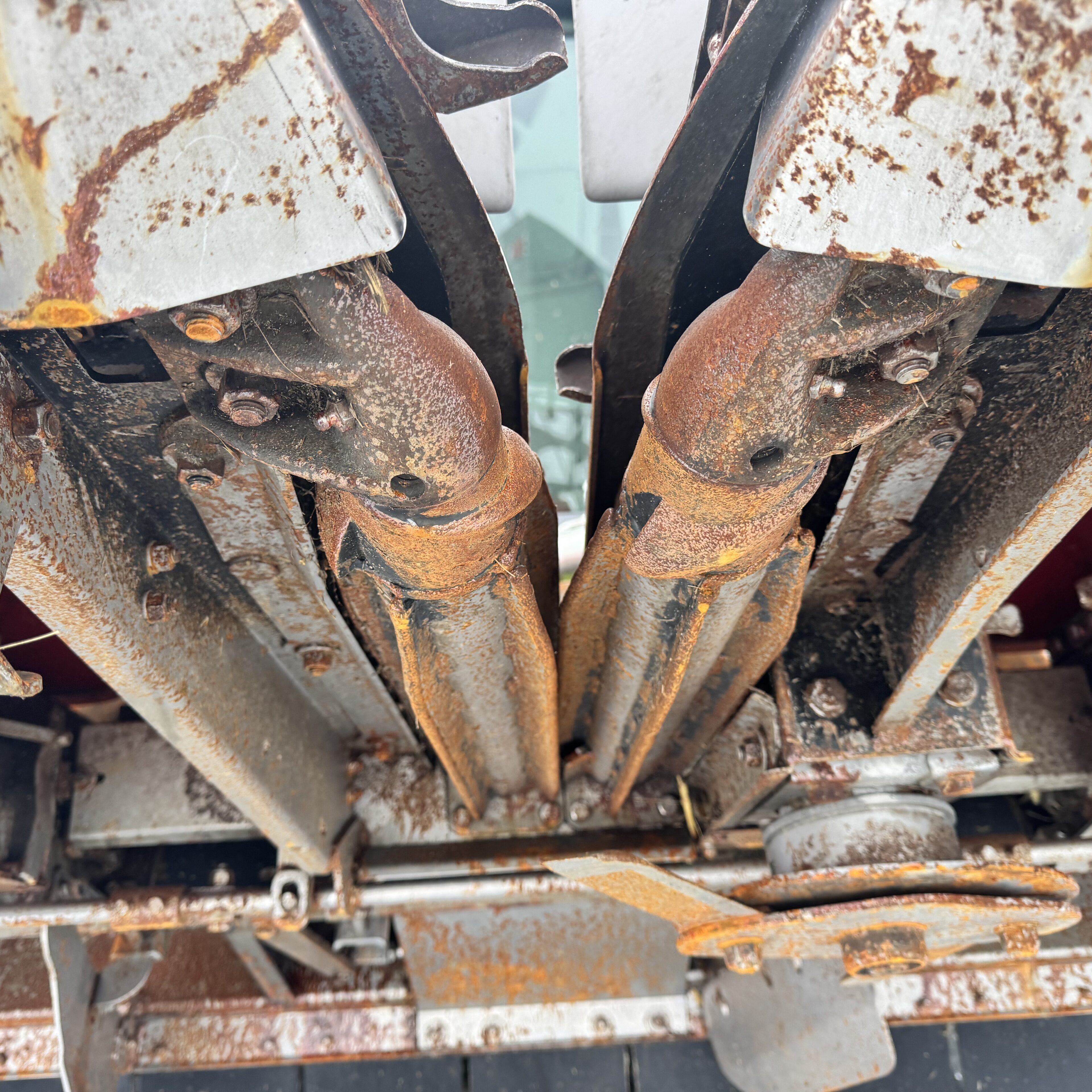 Dominoni Przystawki do kukurydzy