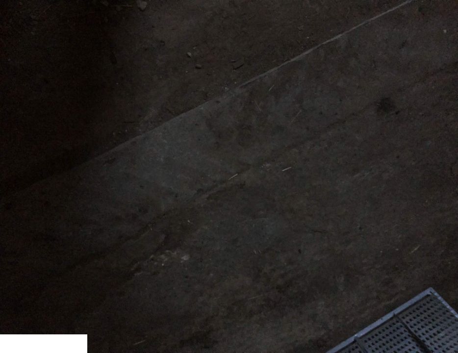 Claas Dominator 204 - SITA - 82 x 130 cm