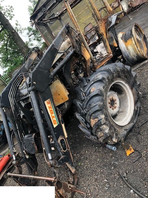 Hurlinmann Stoll robust F 10