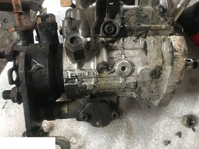 Pompa Delphi Perkins RG