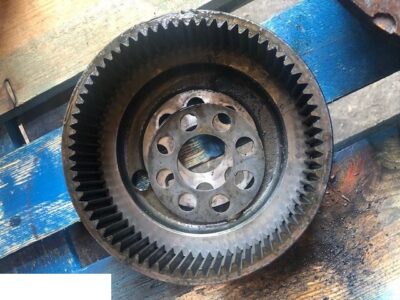 Zwolnica - Dana Spicer