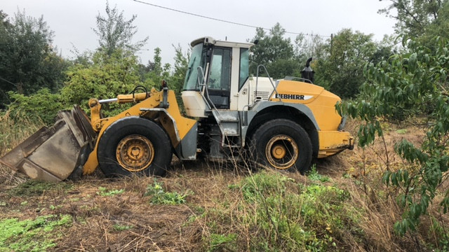Liebherr L544 [2plus2] - Skrzynia | Kabina | Ramię | Siłowniki - [CZĘŚCI]