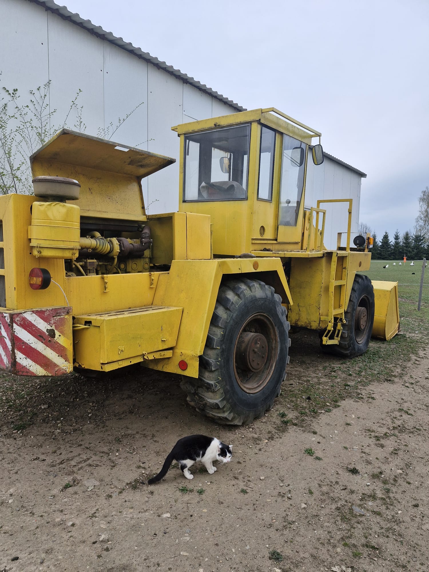 Ładowarka czołowa UNK 320